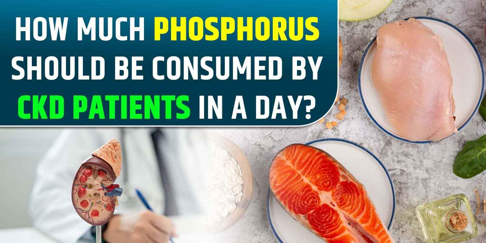 How much phosphorus should be consumed by CKD patients in a day?